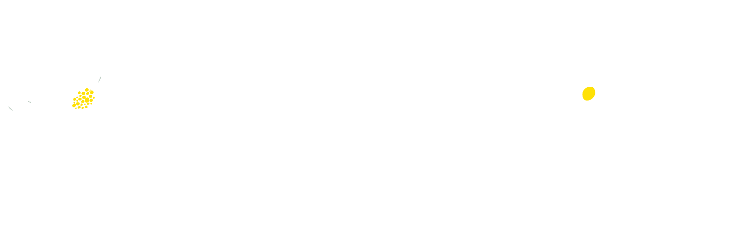 Logo du Gite Magnolia couleur blanc