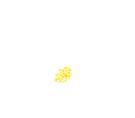 Logo - Fleur de Magnolia blanche